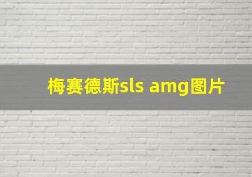 梅赛德斯sls amg图片